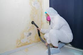 Best Asbestos and Lead Testing During Mold Inspection  in Pomeroy, WA